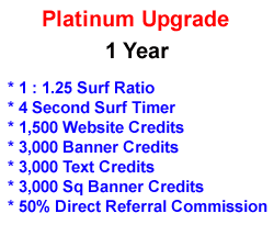 Platinum Upgrade - 1 Year