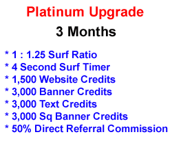 Platinum Upgrade - 3 Months