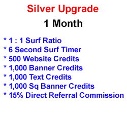 Silver Upgrade - 1 Month