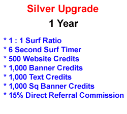 Silver Upgrade - 1 Year