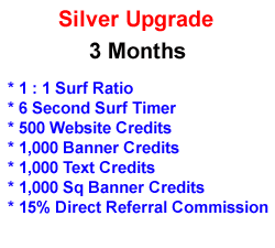 Silver Upgrade - 3 Months